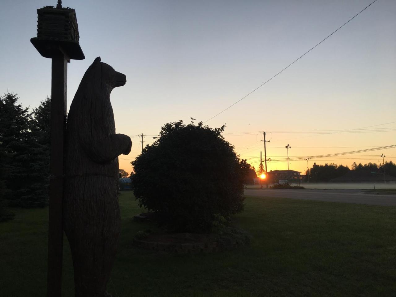 Big Bear Alpena
